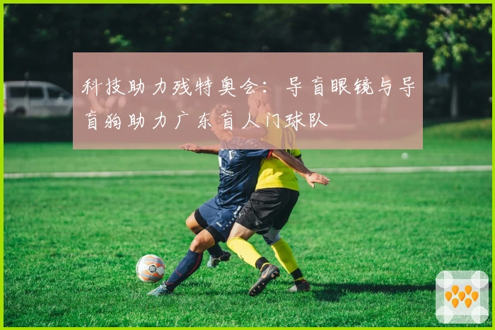 科技助力残特奥会：导盲眼镜与导盲狗助力广东盲人门球队