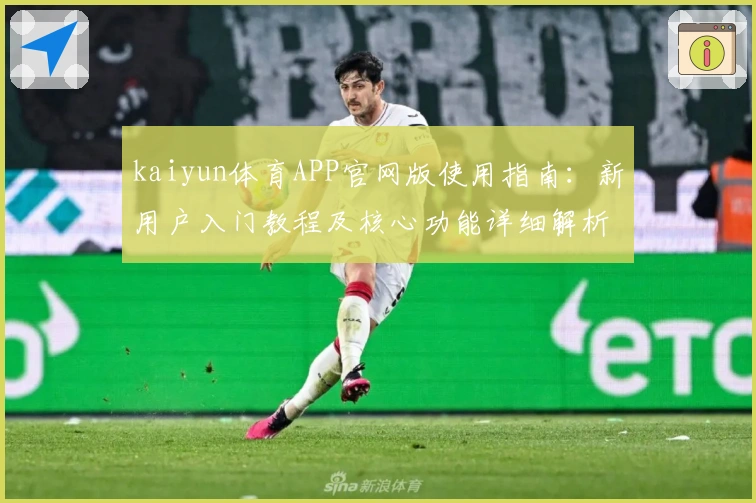 kaiyun体育APP官网版使用指南：新用户入门教程及核心功能详细解析