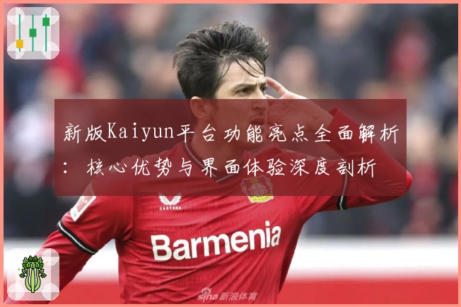新版Kaiyun平台功能亮点全面解析:核心优势与界面体验深度剖析