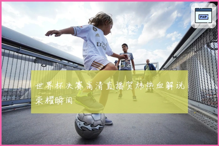 世界杯决赛高清直播贺炜热血解说荣耀瞬间
